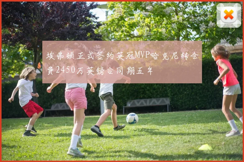 埃弗顿正式签约英冠MVP哈克尼转会费2450万英镑合同期五年